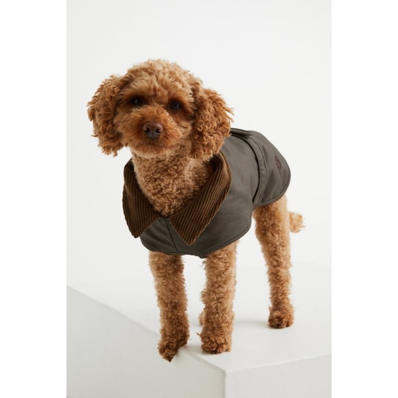 H&M Waxed Dog Coat - Picture 2 of 9
